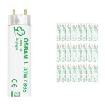 Voordeelpak 25x Osram L 30W 865 Lumilux | 89.5cm - Daglicht